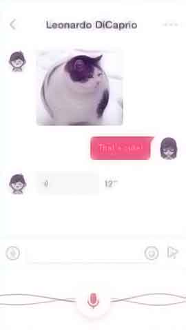 安全的自助平台推荐的DDOS网页端平台